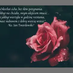 Róża z kroplami rosy i cytatem o tym, jak napisać ostatnie pożegnanie. Czarna wstążka symbolizuje żałobę.