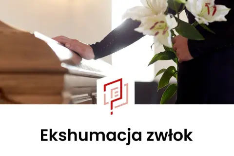 Dłoń na trumnie, bukiet lilii. Proces ekshumacji zwłok po 30 latach.
