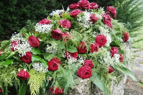 Bogaty wieniec z czerwonych róż i gipsówki, ozdobiony zielenią, stanowi elegancką oprawę dla wspomnień. Ceny wieńców pogrzebowych mogą się różnić.