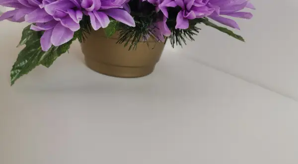 Fioletowe kwiaty w złotej doniczce, idealne na cmentarz, symbolizują pamięć i szacunek.