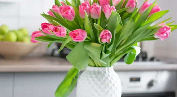 Piękne, różowe tulipany w białym, ozdobnym wazonie. Bukiet świeżych kwiatów dodaje uroku kuchennemu wnętrzu.