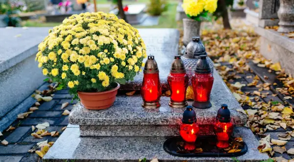 Na grobie bujne żółte chryzantemy, symbolizujące pamięć i szacunek. Płonące znicze dodają powagi.