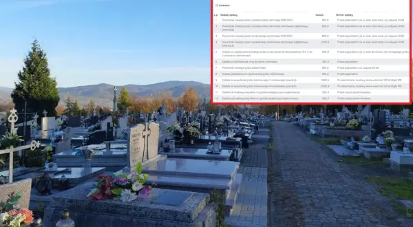 Cmentarz parafialny: cennik opłat, w tym opłata za przedłużenie miejsca na cmentarzu parafialnym. Widok na nagrobki i drzewa.