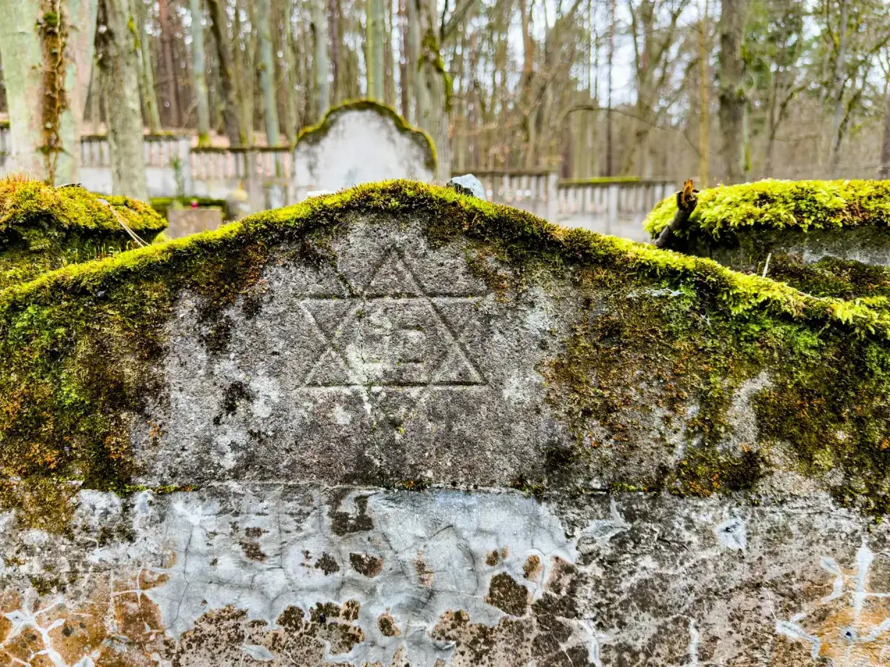 Kamienna płyta nagrobna z Gwiazdą Dawida, porośnięta mchem, na tle cmentarza. Symbolizuje pamięć o żydowskich przodkach i ich pogrzebach.
