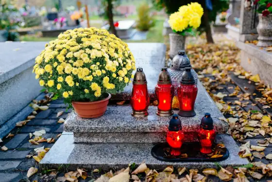 Margaretki na grób i nie tylko. Co symbolizują?