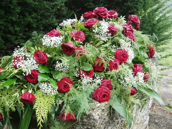 Bogaty wieniec z czerwonych róż i gipsówki, ozdobiony zielenią, stanowi elegancką oprawę dla wspomnień. Ceny wieńców pogrzebowych mogą się różnić.